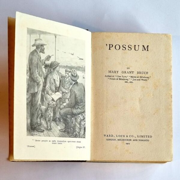 possum (1)