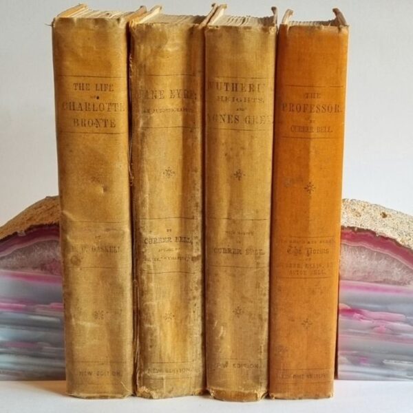 brontes 4 spines